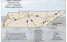 Public Waterfowl Hunting Areas On Du Public Lands Projects - Texas Public Deer Hunting Land Maps