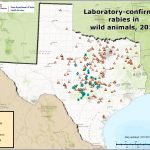 Rabies Maps For 2016   Aaa Texas Maps