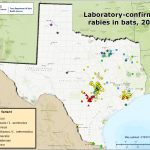 Rabies Maps For 2018   Mountain Lions In Texas Map