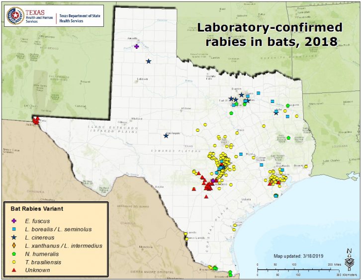 Mountain Lions In Texas Map