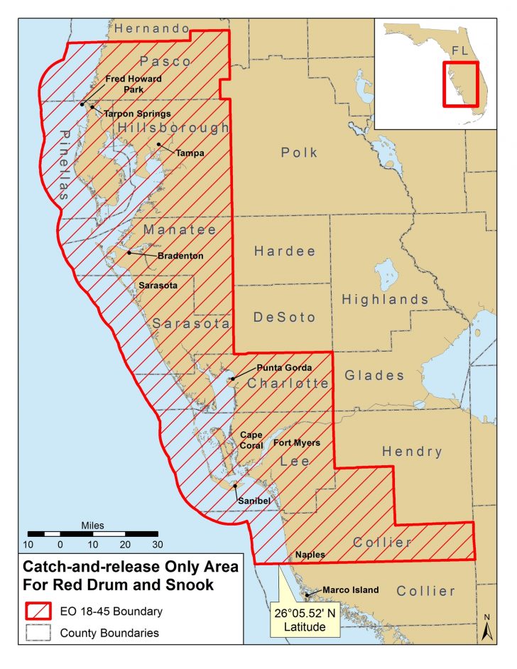 Red Tide Beach Cleanup Current Red Tide Map Florida Printable Maps
