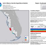 Red Tide Decimates Wildlife Along Florida's Southwest Coast | Miami   Current Red Tide Map Florida