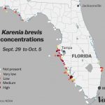 Red Tide: Why Florida's Toxic Algae Bloom Is Killing Fish, Manatees   Current Red Tide Map Florida