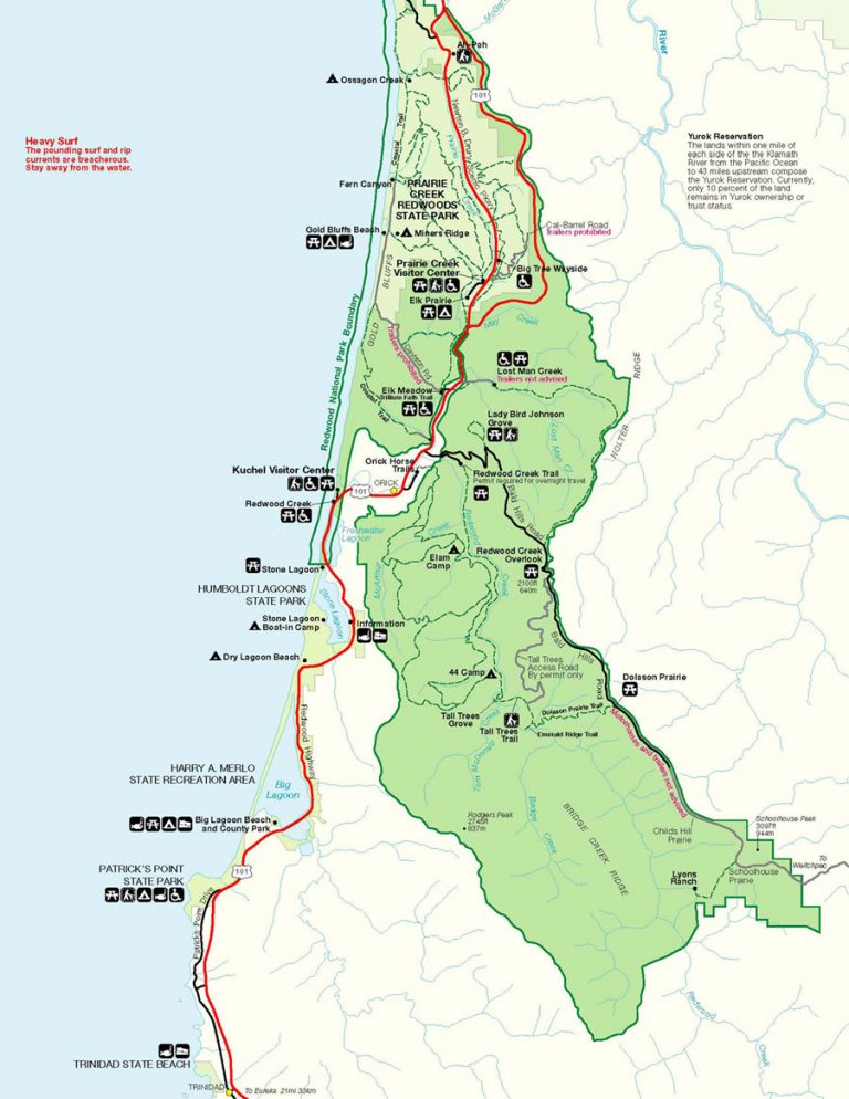 Redwood Forest Map California Klipy Redwood Forest California Map   Redwood Forest Map California Klipy Redwood Forest California Map 768x994 