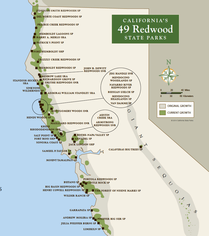 Redwood Parks Pass Map California Redwood Forest California Map - California Redwoods Map