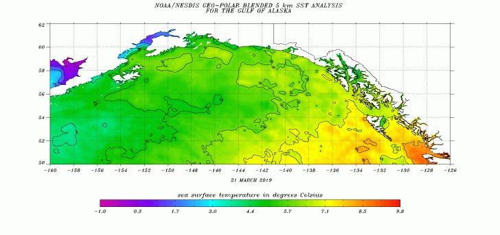 Sea Surface Temperature Sst Contour - Sea Surface Temperature Sst Contour Charts Office Of Satellite Florida Water Temperature Map 728x343 