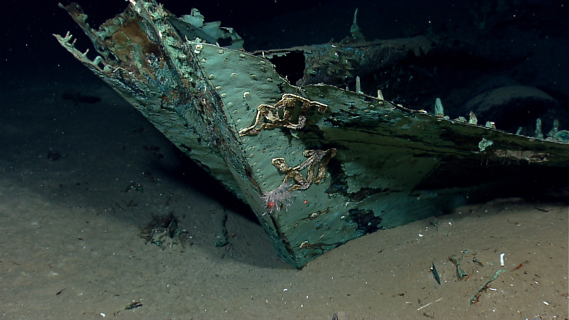 Shipwreck Discovered 4,363 Feet Down In Gulf Of Mexico Called - Texas Gulf Coast Shipwrecks Map