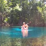 Silver Springs And Silver River State Park Kayak Adventure   June 26   Silver River Florida Map