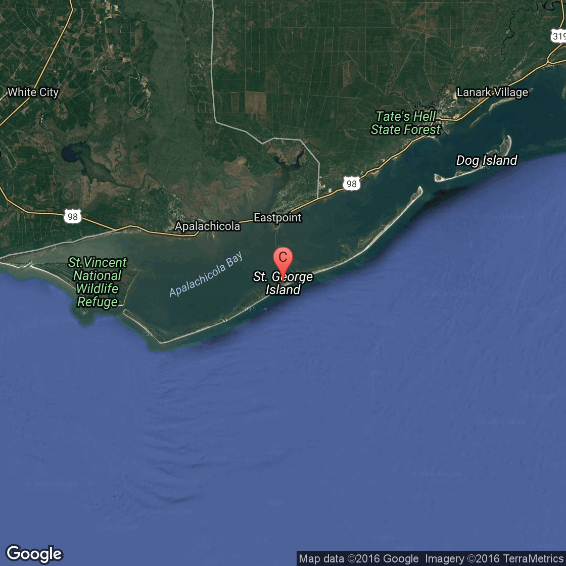 St George Island Florida Map - Printable Maps