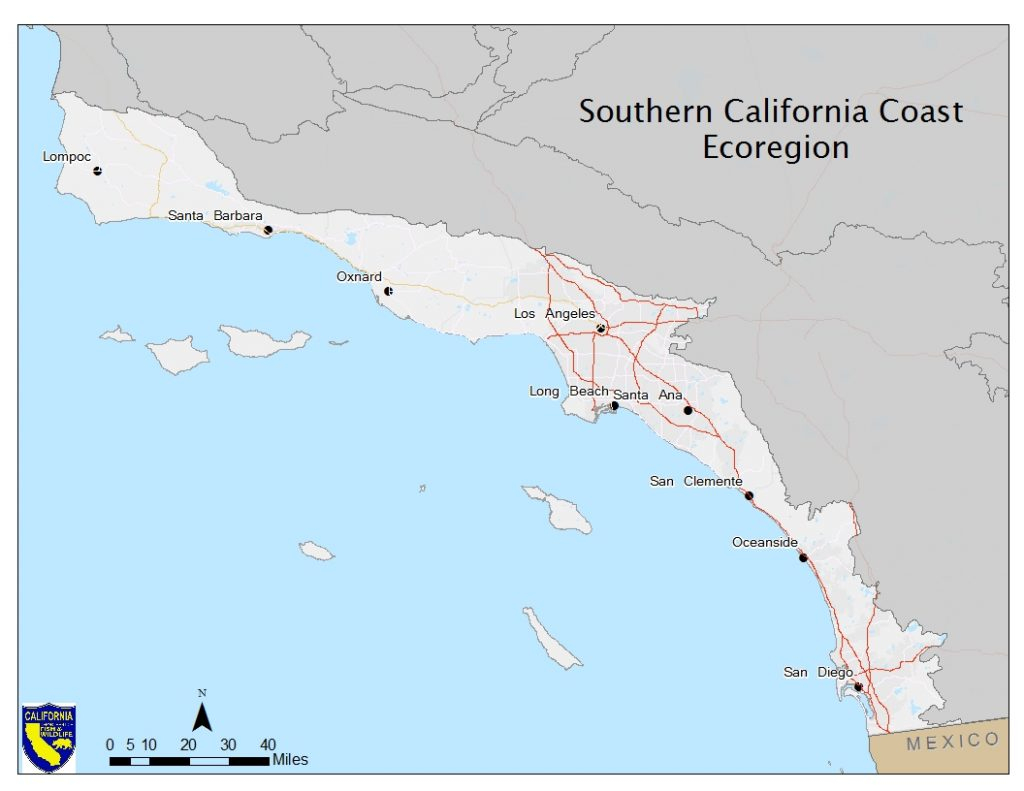 South Coast Ecoregion Map Picture Gallery For Website Southern - Map Of Southern California Beaches