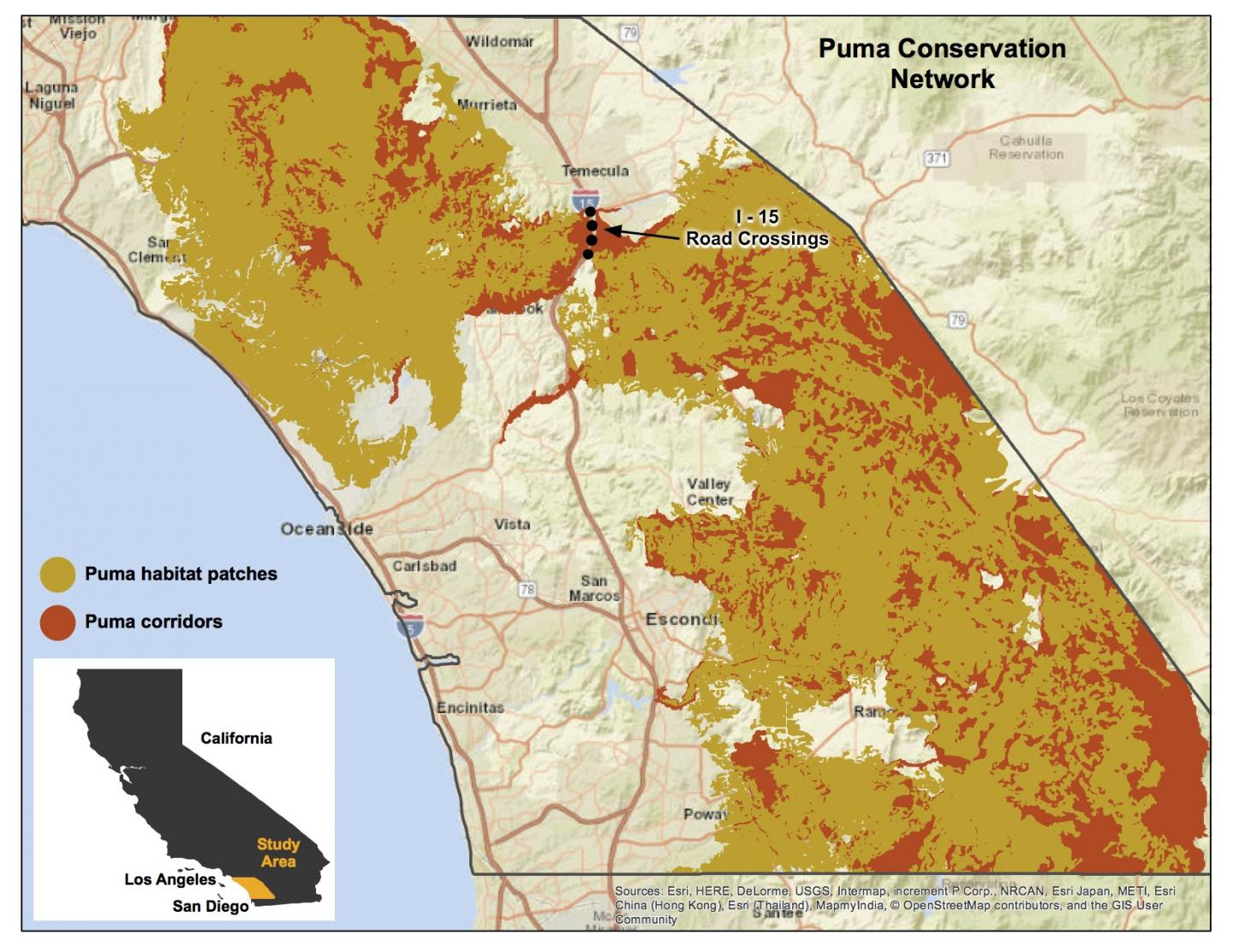 Southern California Mountain Lions&amp;#039; Genetic Connectivity Dangerously Low - Mountain Lions In California Map