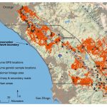 Southern California Mountain Lions' Genetic Connectivity Dangerously Low   Mountain Lions In California Map