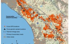 Southern California Mountain Lions' Genetic Connectivity Dangerously Low - Winston California Map