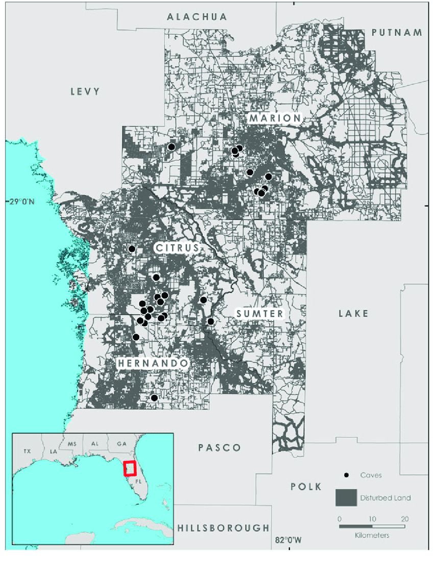 Study Area Map Of West-Central Florida (Hernando, Citrus, Sumter - Hernando Florida Map