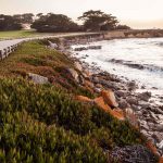 Take A Scenic Turn On The 17 Mile Drive   17 Mile Drive California Map