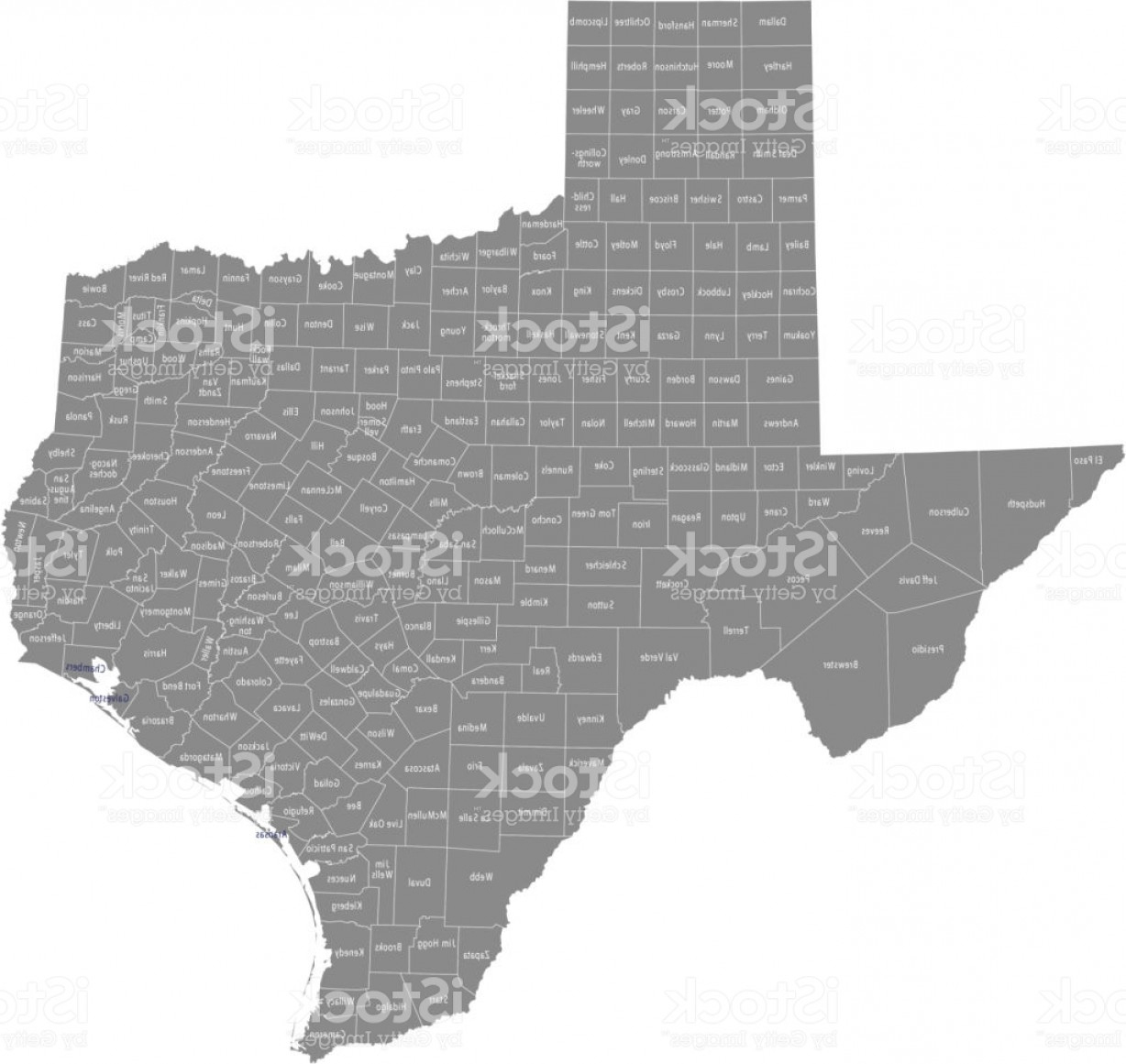Texas County Map Vector Outline With Counties Names Labeled In Gray - Texas County Map Vector