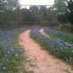 Texas Hill Country Scenic Drives | Hill Country Outdoor Guide   Driving Map Of Texas Hill Country