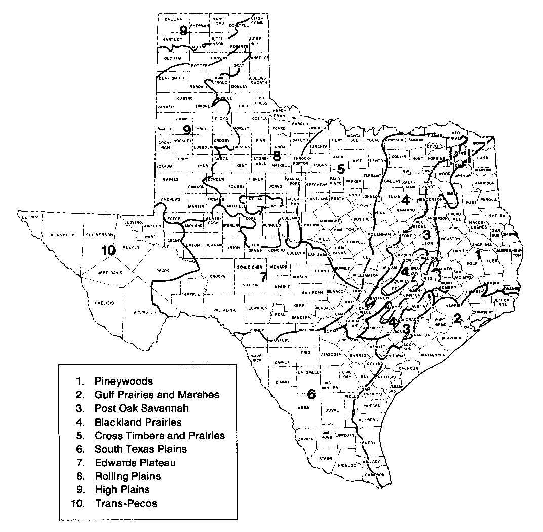 Texas Map Cities Poster Map Of Cities Texas Map Black And White - Texas Map Poster