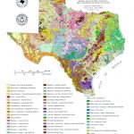 Texas Maps   Perry Castañeda Map Collection   Ut Library Online   Texas Tree Map