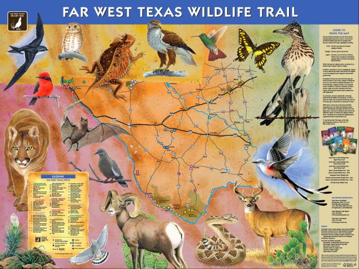 Texas Parks And Wildlife Map