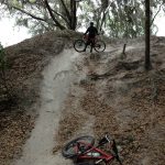 The Best Of Alafia River State Park Mountain Bike Trail, Lithia, Florida   Florida Mountain Bike Trails Map