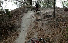 The Best Of Alafia River State Park Mountain Bike Trail, Lithia, Florida - Florida Mountain Bike Trails Map