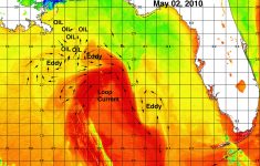 The Loop Current - Florida Water Temperature Map