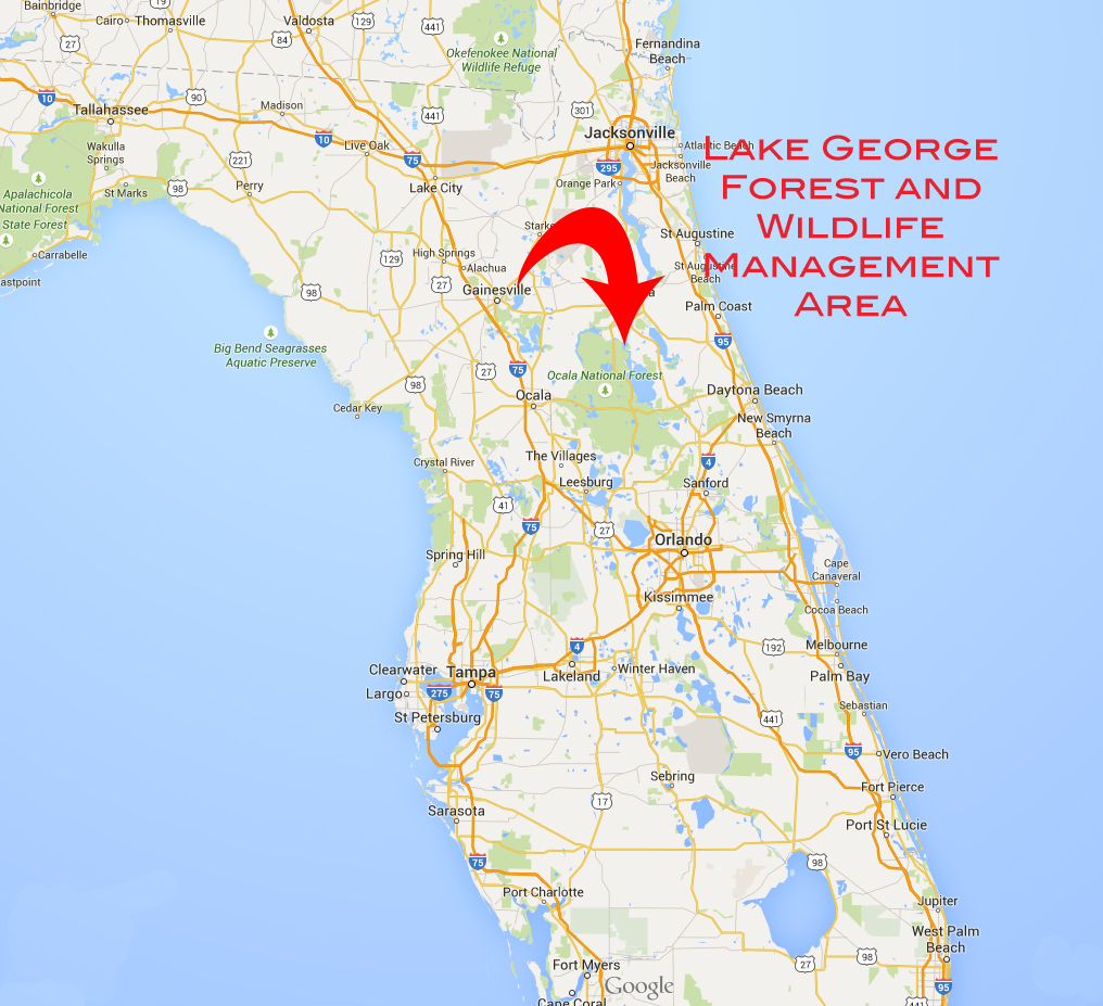 The Road Not Taken | Phillip&amp;#039;s Natural World - Lake George Florida Map