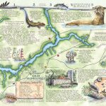 The Souvenir Map & Guide Of Homosassa Springs Fl   Springs Map Florida