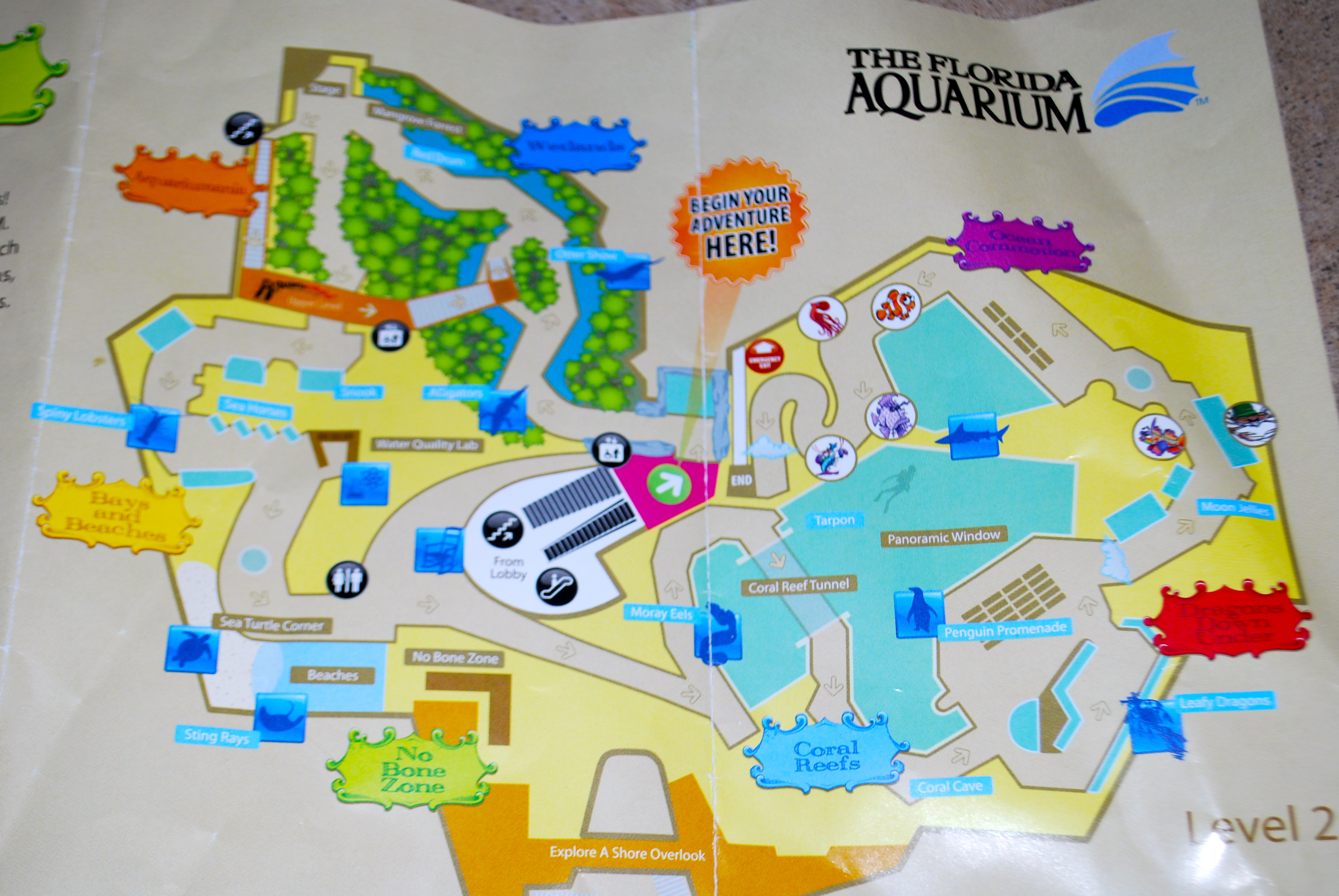 The Weekend And The Florida Aquarium! | From The Pack To The Mouse - Florida Aquarium Map
