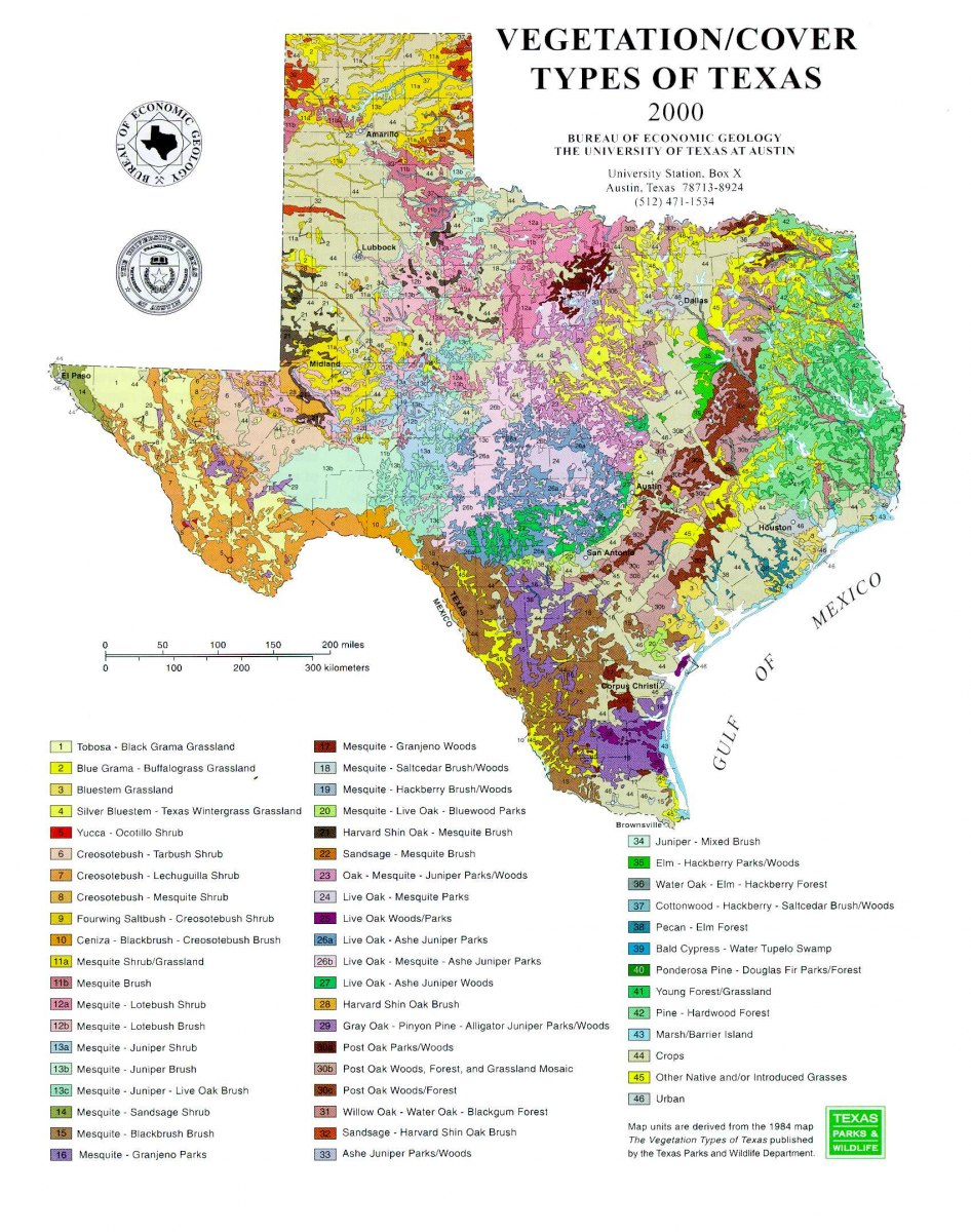 Tobin Map Collection - Geosciences - Libguides At University Of - Lost Pines Texas Map