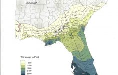 Topo Naples Florida Map Elevation - Topographic Map Of Florida Elevation