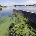 Toxic Blue Green Algae Plagues South Florida's Waterways; Governor   Toxic Algae In Florida Map