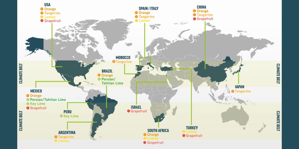 Treatt Citrus Growing Regions Where Are Oranges Grown In Florida