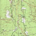 Turkey Creek Trail, Big Thicket National Preserve, Texas. Free   Texas Hiking Trails Map