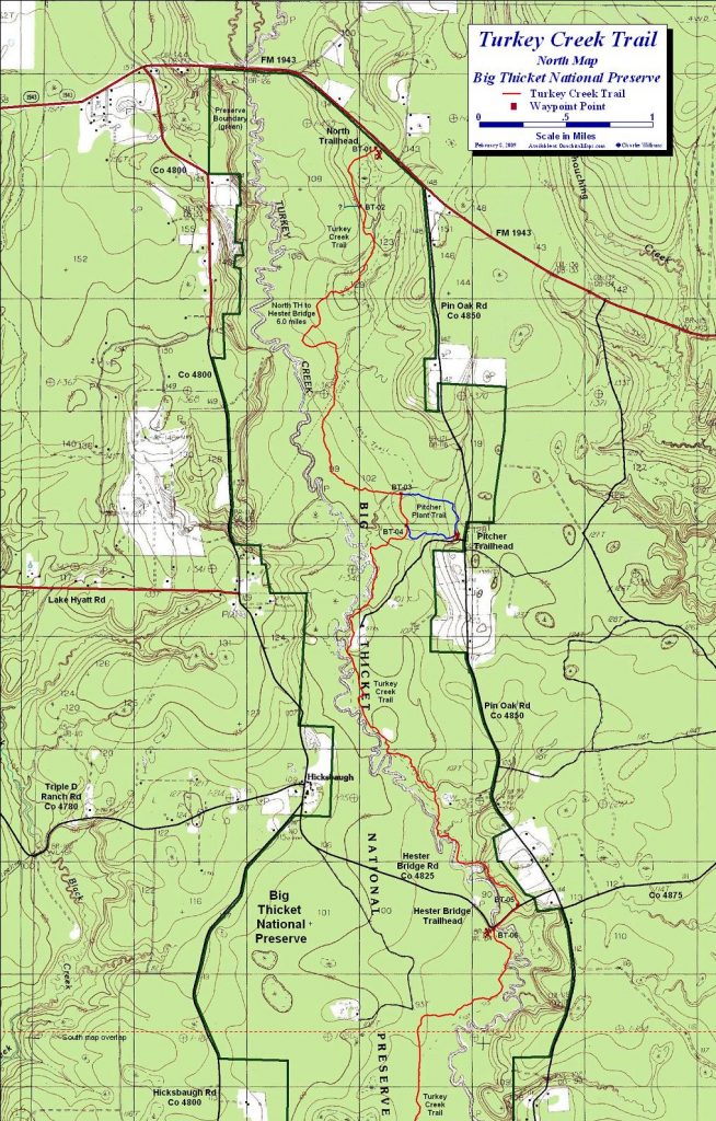 Turkey Creek Trail, Big Thicket National Preserve, Texas. Free Texas Hiking Trails Map