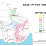 Uruguay Soil Maps   Florida Soil Types Map