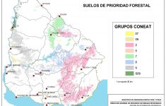 uruguay soil maps florida soil types map Uruguay Soil Maps - Florida Soil Types Map