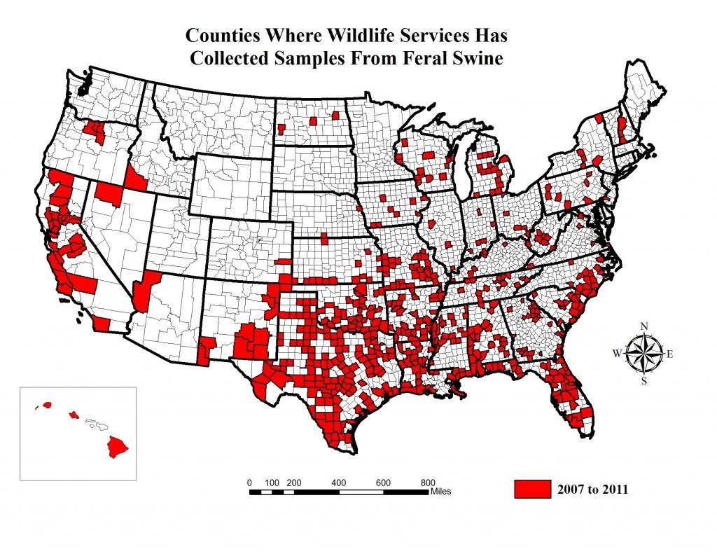 Us Feral Hog Population Map South Carolina Wild Boar Beautiful Wild ...