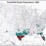 Us Feral Hog Population Map South Carolina Wild Boar New Wild Pigs   Florida Wild Hog Population Map