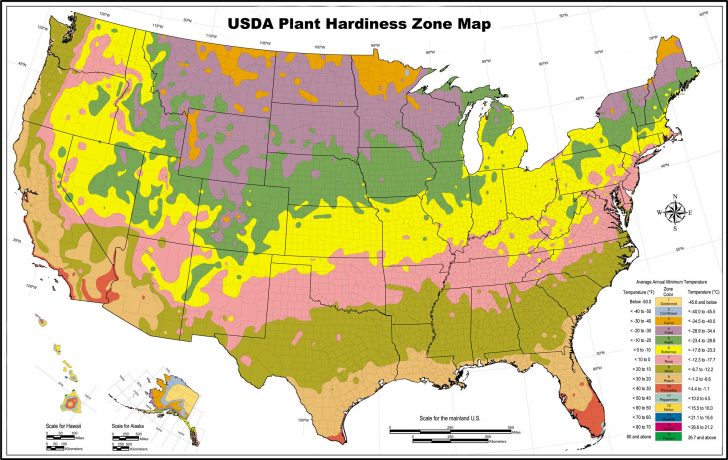 Usda Hardiness Zones Outline Map With California Climate Zones Map California Hardiness Zone Map 728x460 