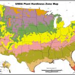 Usda Hardiness Zones Outline Map With California Climate Zones Map   Growing Zone Map California