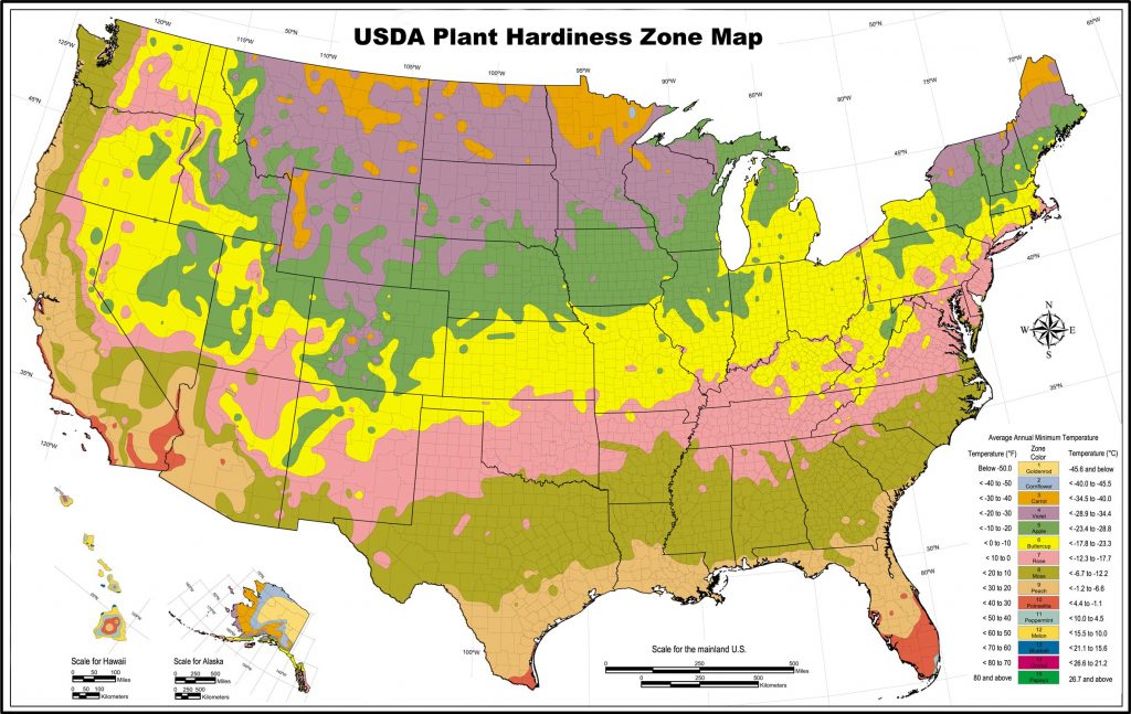 Usda Hardiness Zones Outline Map With California Climate Zones Map