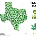 Vector Marijuana Collage Texas Map Stock Vector   Illustration Of   Geographic Id Map Texas