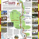 View Map | Avenue Of The Giants   Avenue Of The Giants California Map