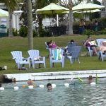 Warm Mineral Springs In North Port, Florida   Healing Waters   Youtube   Warm Mineral Springs Florida Map