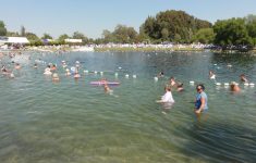 warm mineral springs in north port florida newyork big sun realty warm mineral springs florida map Warm Mineral Springs In North Port, Florida – Newyork Big Sun Realty - Warm Mineral Springs Florida Map