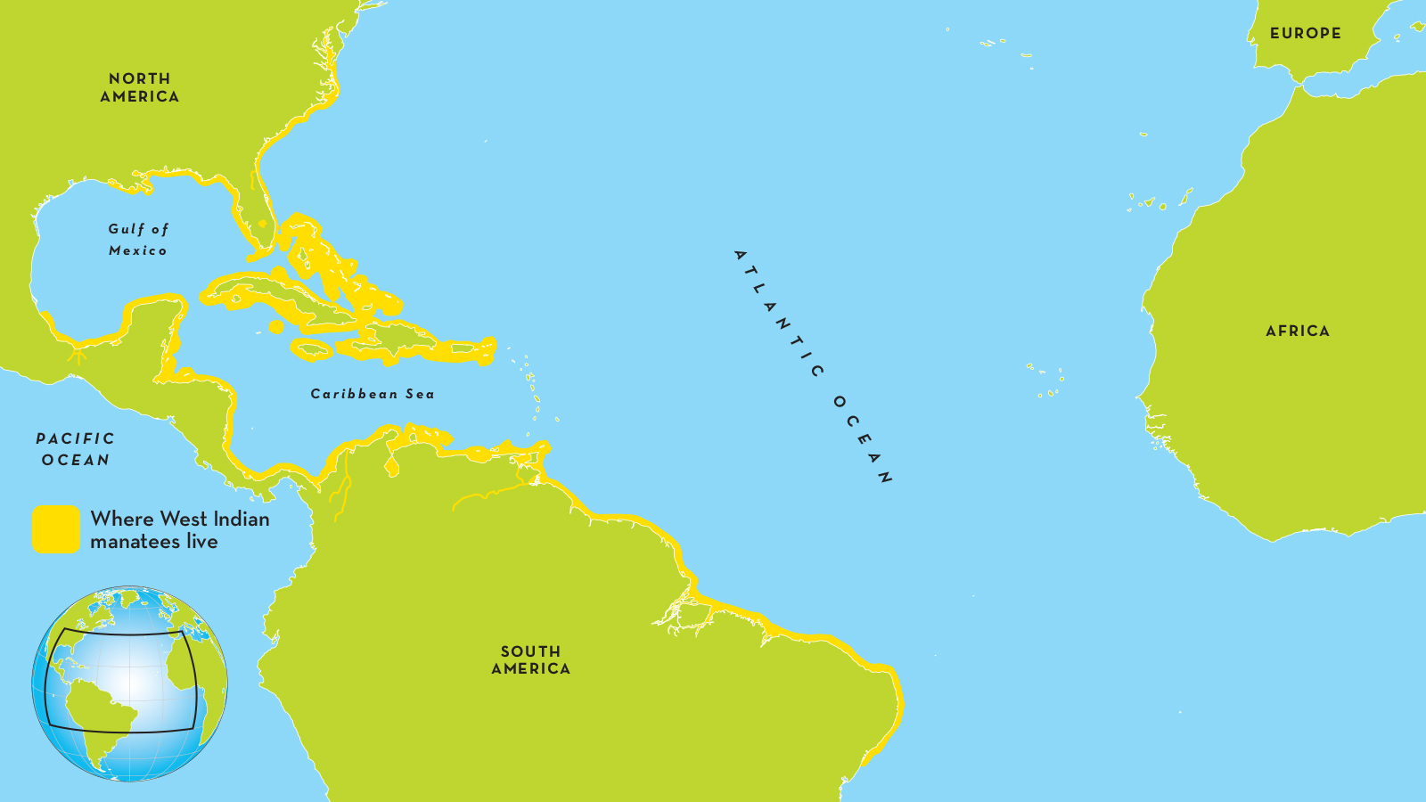 West Indian Manatee - Manatee Florida Map