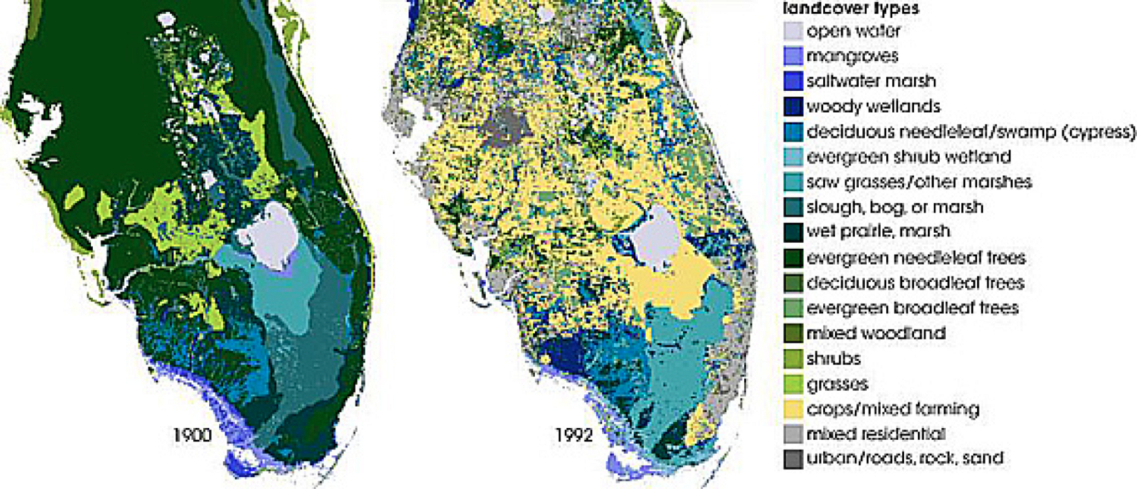 Wetlands In Florida – Fiorella Ruiz – Medium - Florida Wetlands Map