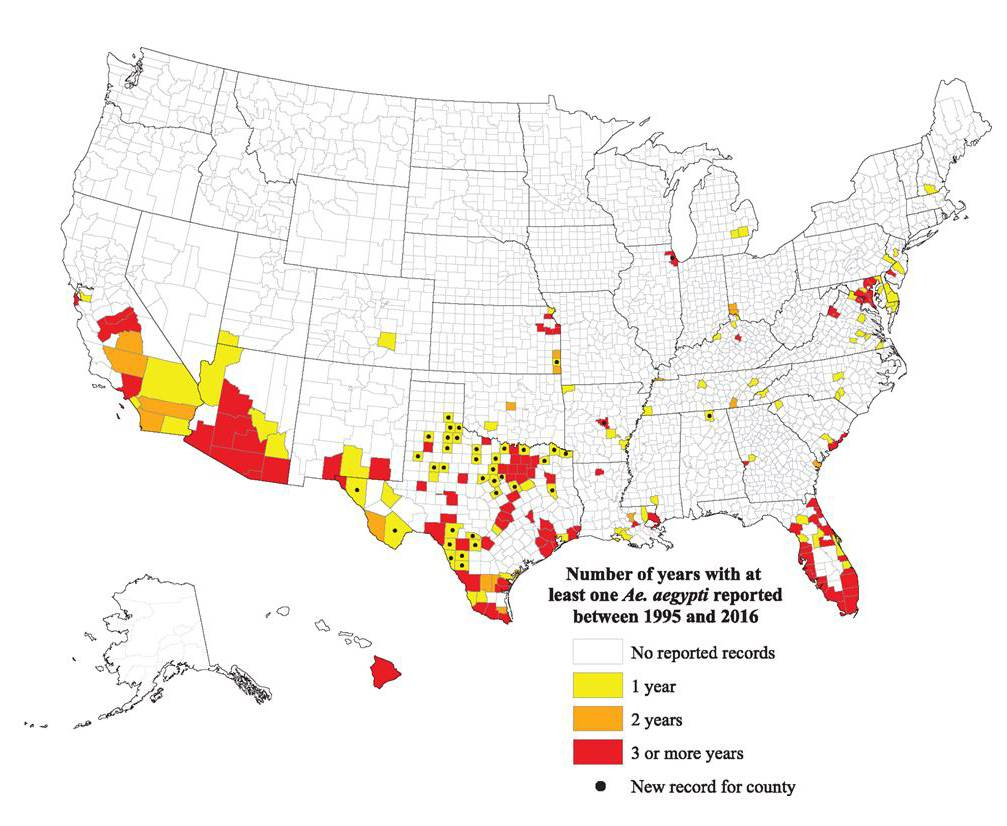 Zika Mosquitoes Are In More Places Than You Thought, Cdc Says - The - Texas Zika Map